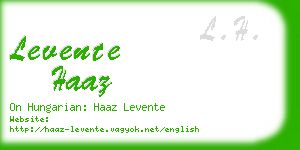 levente haaz business card